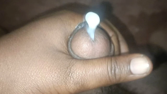 New Xhamster
