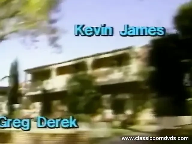 Classic Porn Dvds: the Pleasure Spot: Part 1