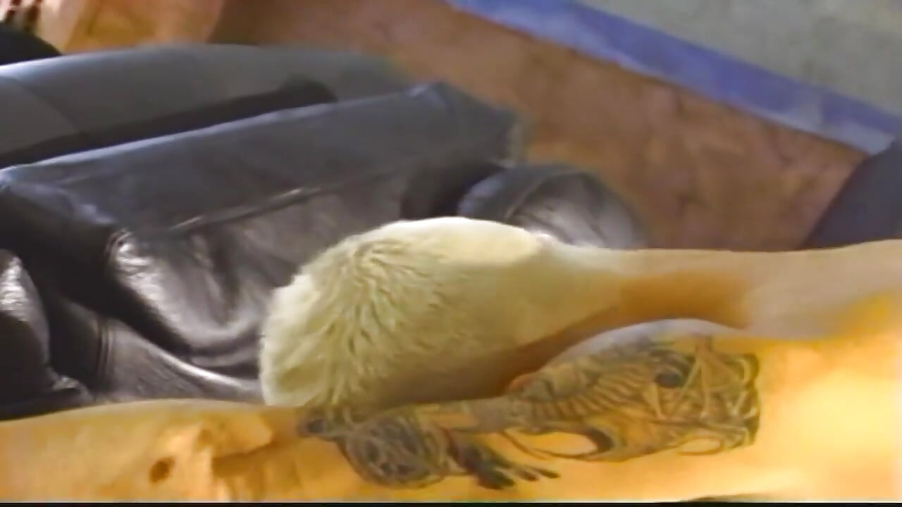 Lust kennt kein Limit mehr wenn Lust alles übernimmt ohne