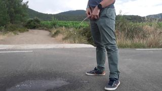 Pissing on the road