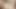 Milftrip – sarışın milf oğlunun büyük yarak en iyi arkadaşı piyanoda sikikleri