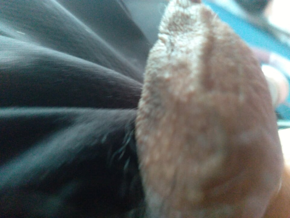 Gay man relaxes when he masturbates his penis