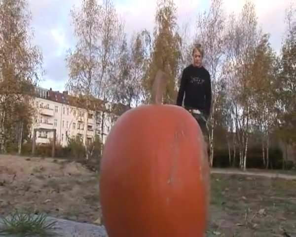hal 3.1