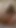 Jaw-dropping moment from "I get horny looking at myself in the mirror and masturbate until I cum - DOLLSCULT"