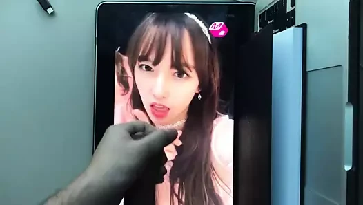 Cheng Xiao