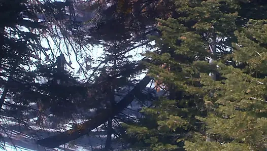 Marvelous babe with big tits gets screwed outdoors