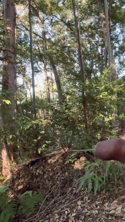 foreskin boy flashing in wood and pee | Clip 1