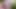Tuosotexl: Cruising with Two Men in the Forest