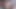 VIDEO CUMTRIBUTE FOR PUSSYGIRLDD