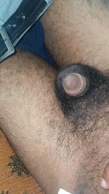 Moj kurac je dlakav, dođi me jebati.