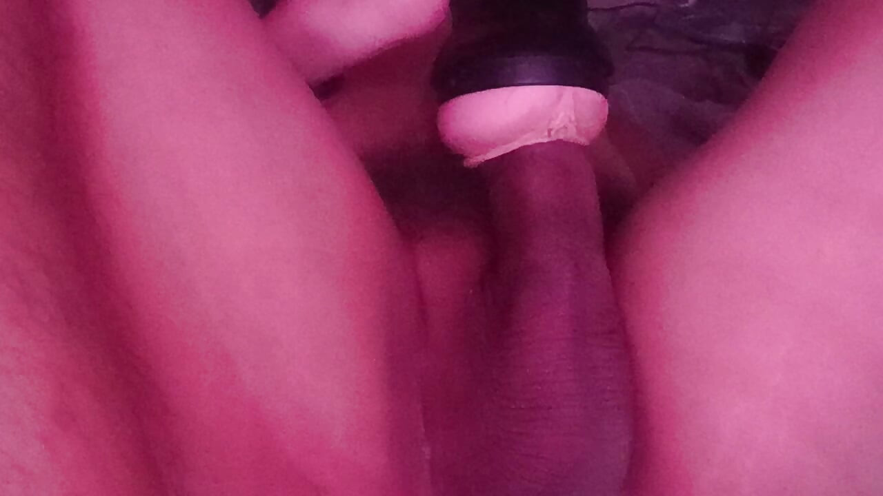 Warm My Milk Day 1645
