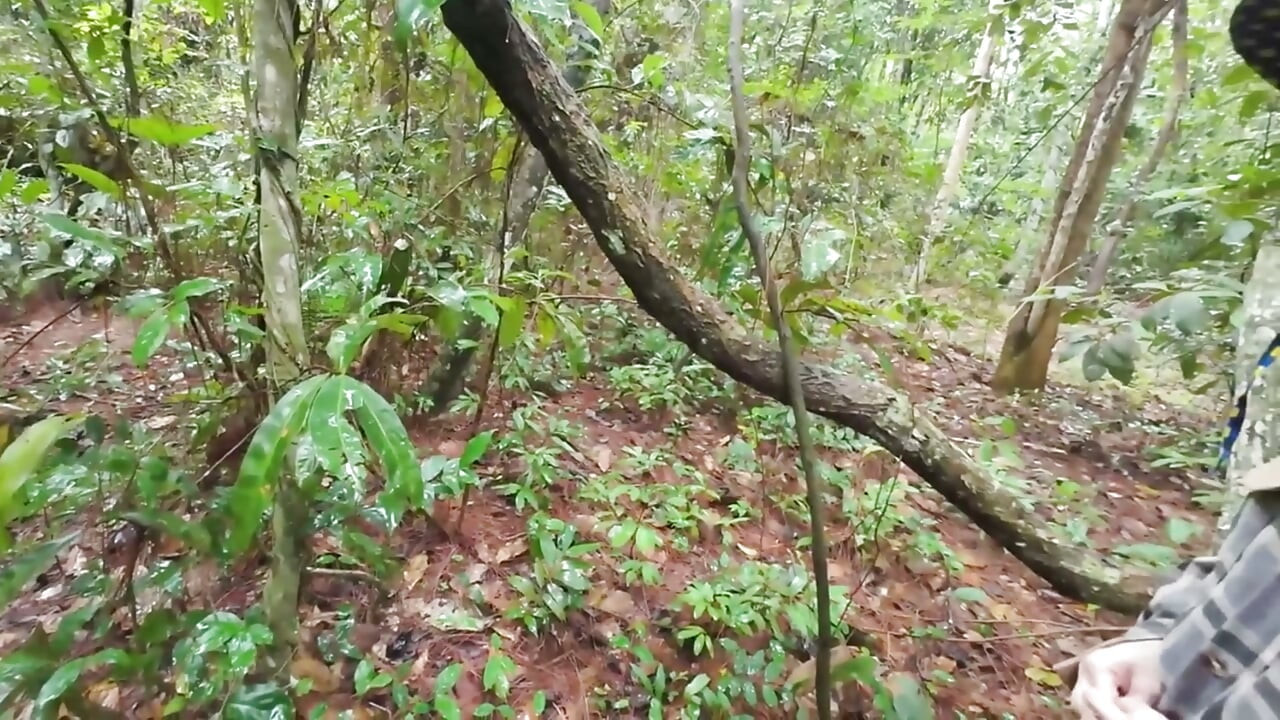 Thai Teenager Walks around Picking Mushrooms and Gets Fucked in the Pussy. Thai Audio