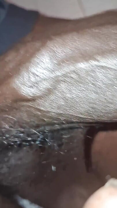Stiff BBC Close up Action