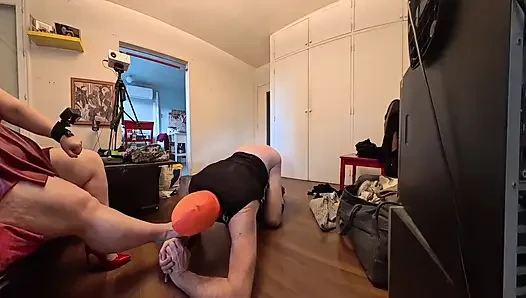 The Place of a Dog