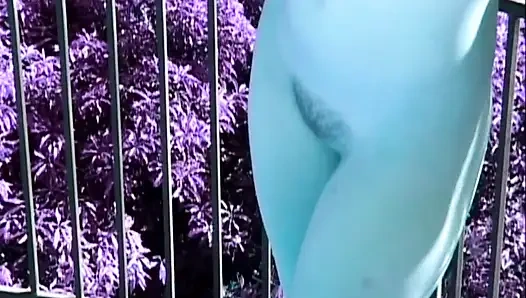 Gerçek bir deli için kocaman bir horoz