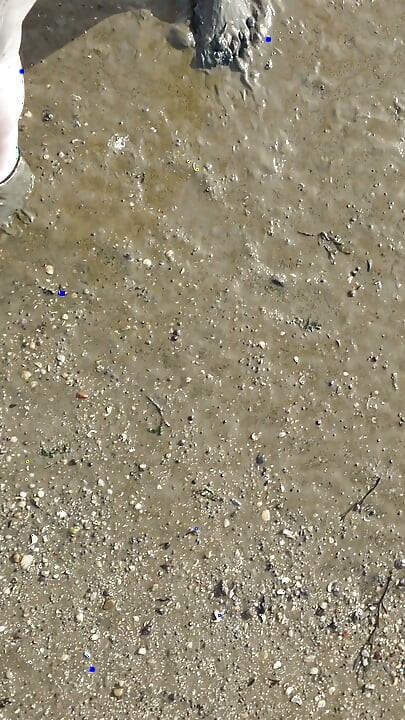 Short Test in the Mudflats on the Beach of Horumersiel