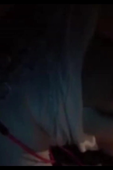 Kamyonda