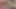 Hot Girl Want Threesome Sex