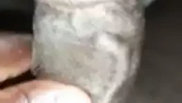 흑인 아프리카 연인