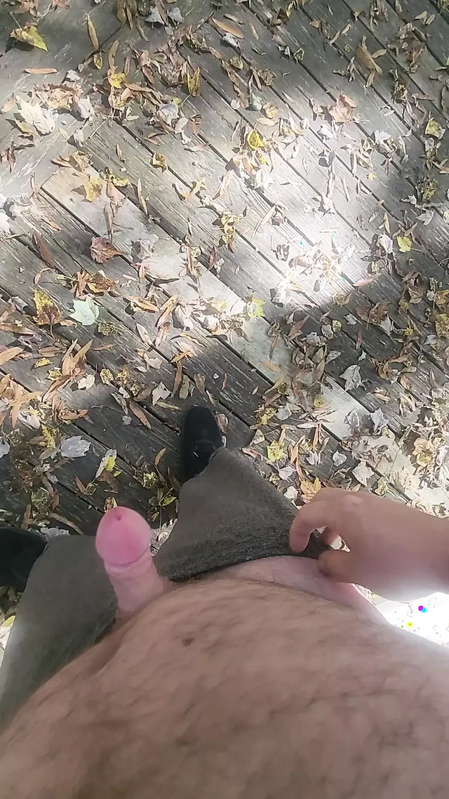 Enjoying the park solo.