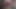 Sissy Poppers Brain Melter 2020 - DICKGIRLSRULE