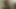 Solo Male Masturbation and Cum