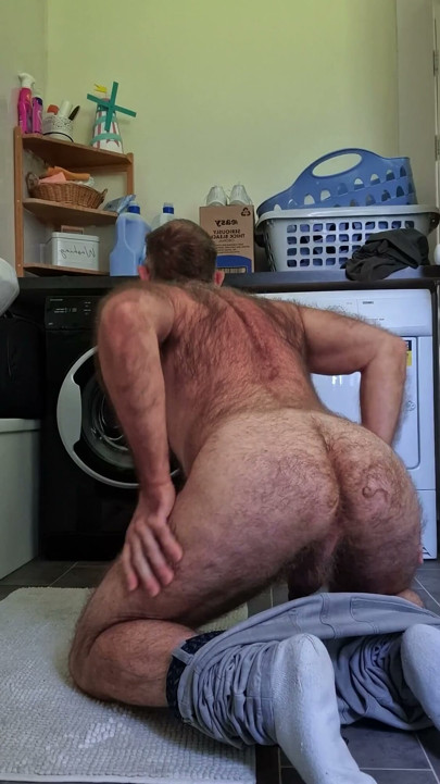 Hairy Bear Doing Laundry
