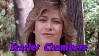 Classic Porn DVDs FH