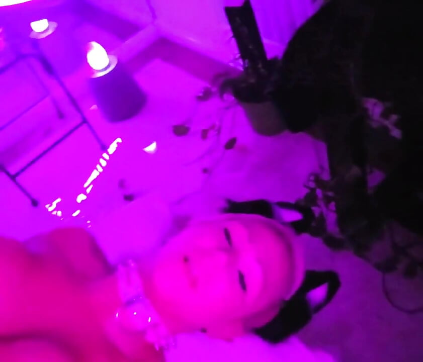 Pretty Party Smokey Kitty