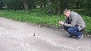 CD and bird in public park
