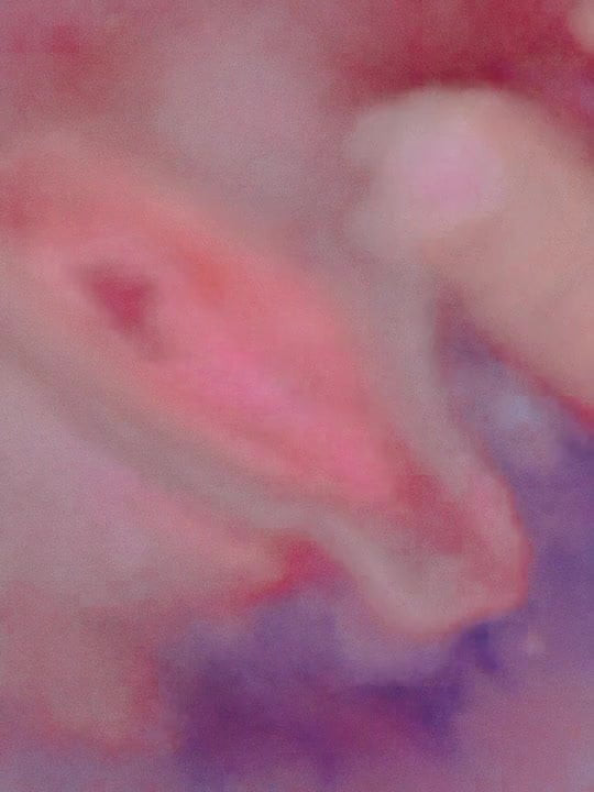 Wife slut