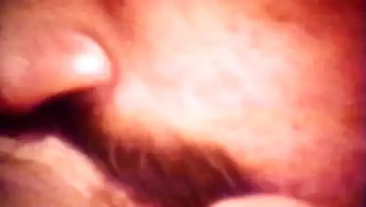 Bareng-bareng nyepong kontol