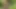 Daddy Getting Fucked in the Forest