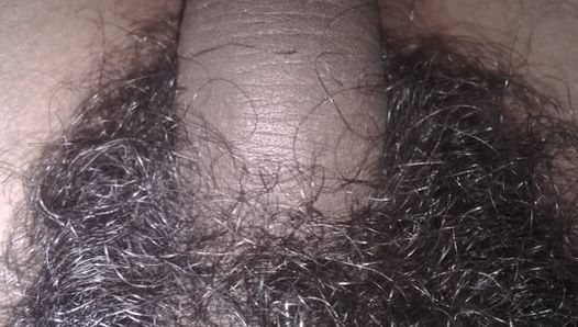 Showing very big hairy dick video