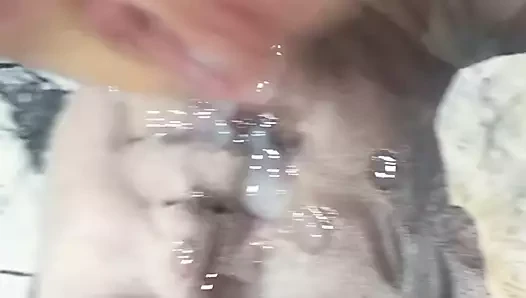 rosa selvatica için altın yağmur