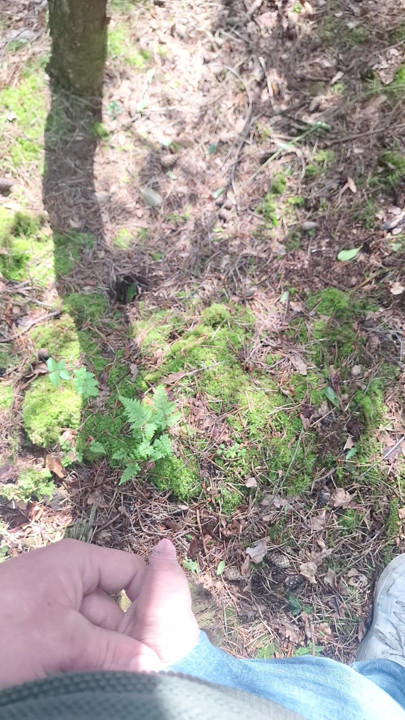 Solo outdoor peeing in a public wood