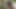 大きな胸のタトゥー入りアジア系女の子の膣がチンポしゃぶり