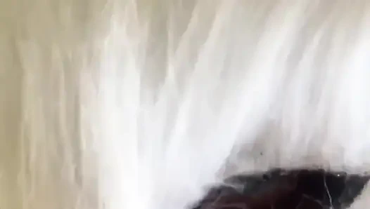 Bugün süt isteyen yaramaz bir kedi yavrusuyum