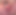 Only Fans Sweetayaa - Dildo in Pussy
