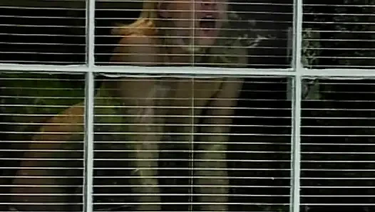 College Geständnisse: Heiße Enthüllungen Teil 15