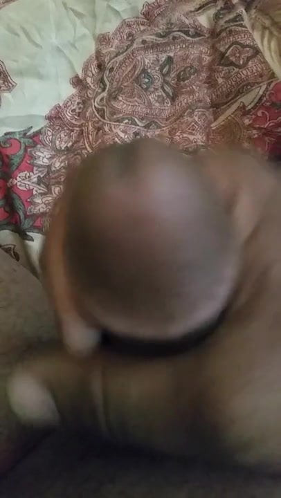 Cock