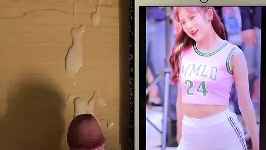 Momoland papatya twinks