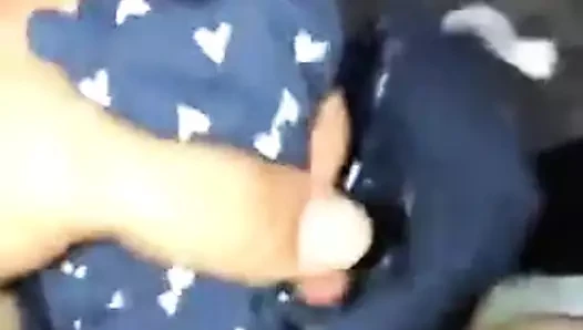 Döl külotu
