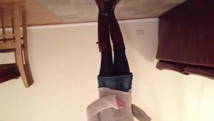 le cul de cette pute d'alexiatrav