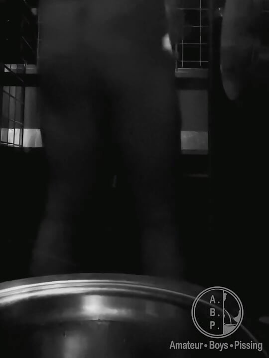 Public Toilets Encounter #2