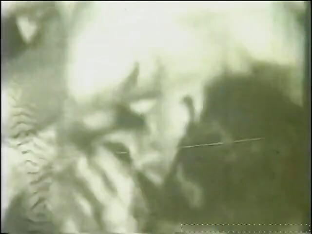 Сусідська повія