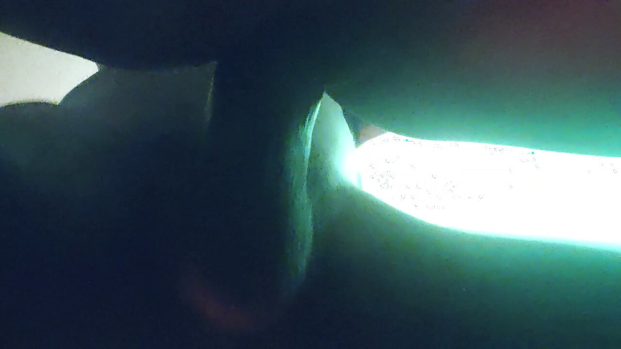 业余 FWB 预览