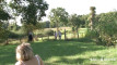 Pregled videozapisa