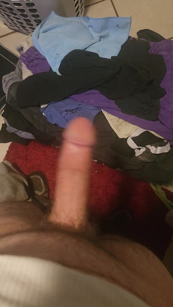 Shake my cock