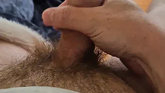 Harika bir kuşun peşinde